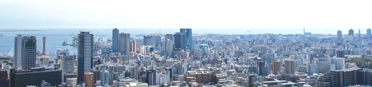 会社案内/求人案内 会社案内/求人案内